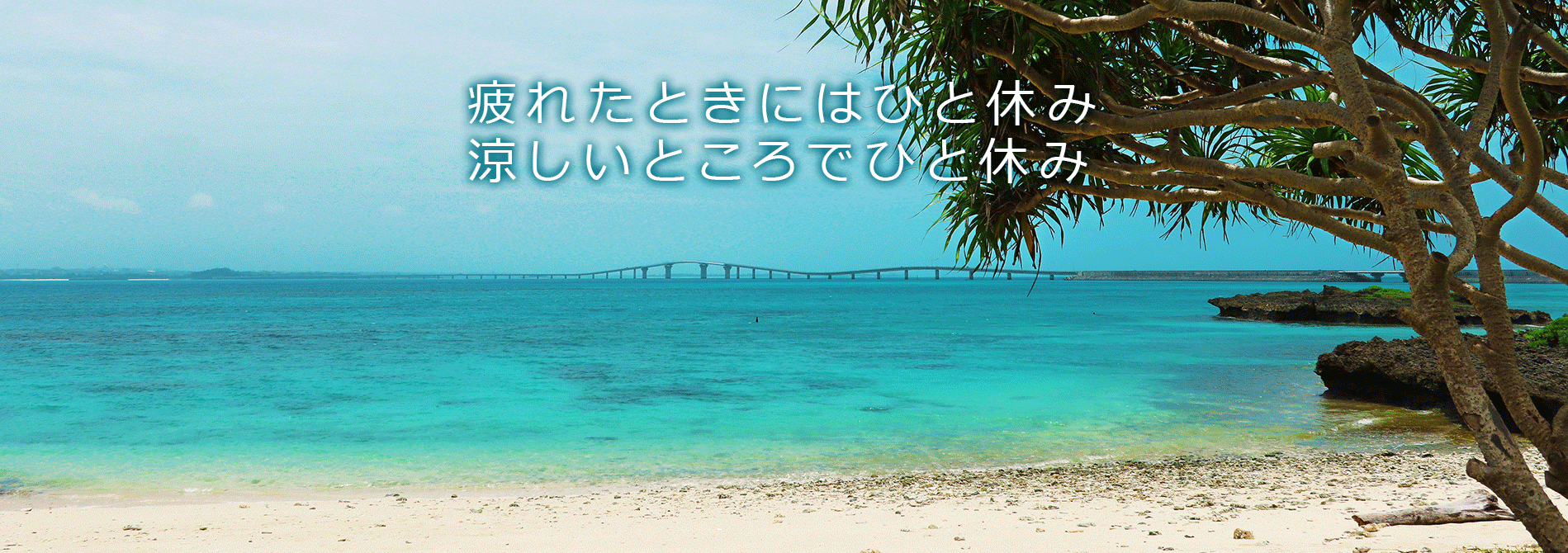 海