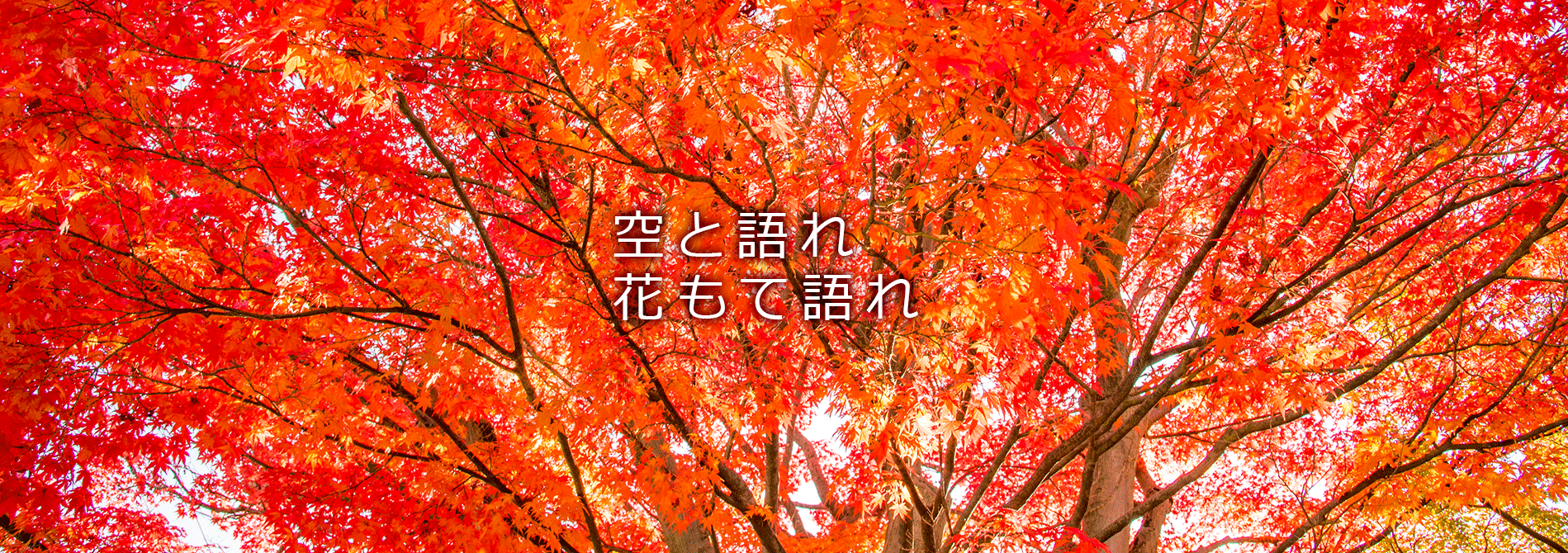 紅葉